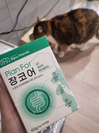 호롤로님이 올린 리뷰 사진 1