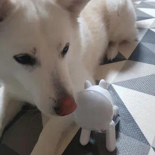 딸랑구둘🥰님이 올린 리뷰 사진 1