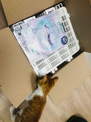 freeofsoul93님이 올린 리뷰 사진 1