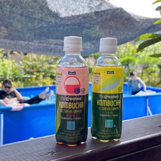 더그레잇티 콤부차 [매일유업] 더그레잇티 44kcal 콤부차 300ml *12개입 (오리지널 6개+베리리치 6개) — 4.5점을 준 리뷰어가 2023년 8월 올린 사용 사진