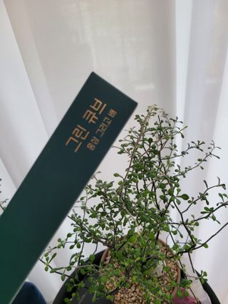 빈이율빠님이 올린 리뷰 사진 1