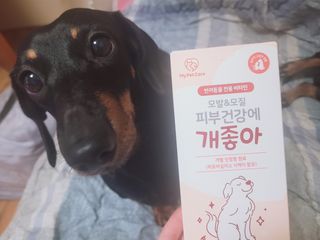 My Pet Care 모발과 모질 피부건강에 개좋아 — 5점을 준 리뷰어가 2021년 4월 올린 사용 사진