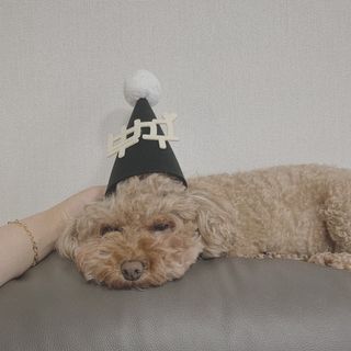 우주님이 올린 리뷰 사진 3