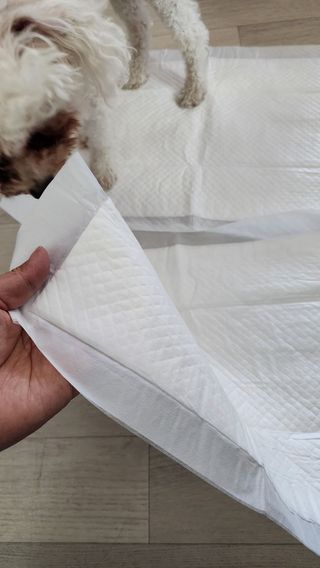햇님달님님이 올린 리뷰 사진 2