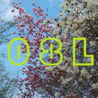 0.8L 마케팅팀 - — 5점을 준 리뷰어가 2021년 5월 올린 사용 사진