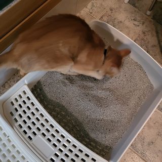 수경이야님이 올린 리뷰 사진 3
