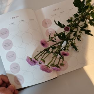 신현미님이 올린 리뷰 사진 2