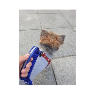 딸기맘님이 올린 리뷰 사진 2