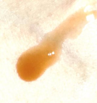 라미님이 올린 리뷰 사진 3