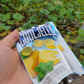 꼬물이님이 올린 리뷰 사진 1