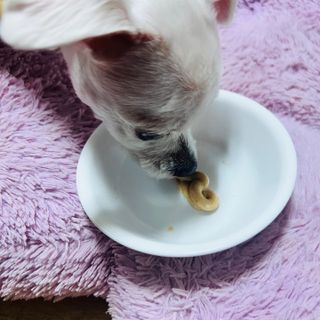 뽀히님이 올린 리뷰 사진 2