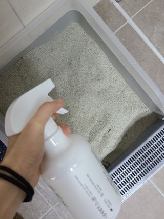루잉루잉님이 올린 리뷰 사진 3