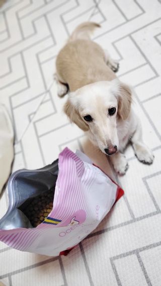 PDKIM님이 올린 리뷰 사진 1