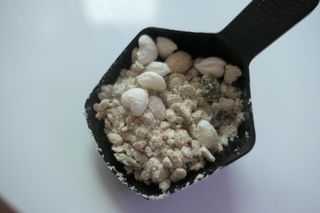 미야님님이 올린 리뷰 사진 3