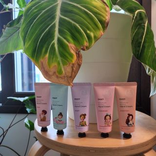 파시 고보습 핸드크림 40ml 5종 기프트 세트 — 5점을 준 리뷰어가 2022년 8월 올린 사용 사진