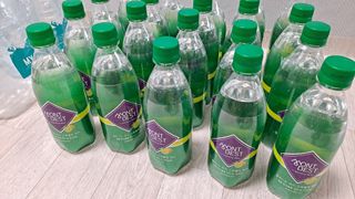 몽베스트 Montbest with Sparkling water Lemon OR Lime 20병(랜덤) — 5점을 준 리뷰어가 2022년 8월 올린 사용 사진