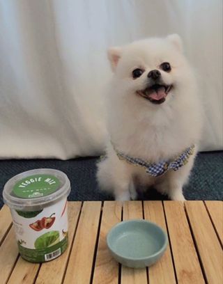 꽃태희님이 올린 리뷰 사진 2