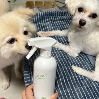 정혜원님이 올린 리뷰 사진 2