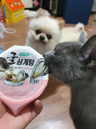 알몽님이 올린 리뷰 사진 3