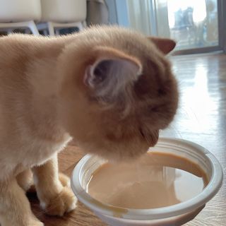 나르미르님이 올린 리뷰 사진 4
