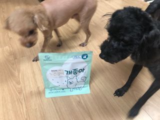 My Pet Care 천연단백질 눈건강에 개좋아 — 5점을 준 리뷰어가 2021년 2월 올린 사용 사진