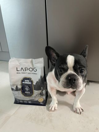 [푸디웜] 라포그 리얼인섹트 소프트키블 스킨 1KG — 5점을 준 리뷰어가 2022년 9월 올린 사용 사진