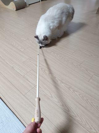 로크찡님이 올린 리뷰 사진 4