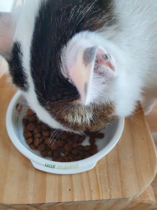미히님이 올린 리뷰 사진 1