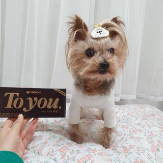 솜희님이 올린 리뷰 사진 4