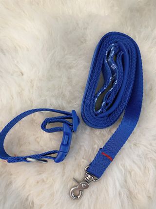 베이컨박스 [BACON] 고아웃클럽 이지그립 리드줄, 목줄 세트-BLUE — 5점을 준 리뷰어가 2021년 7월 올린 사용 사진