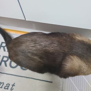 바비와구르미님이 올린 리뷰 사진 3