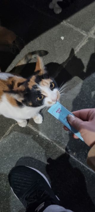 진쓰님이 올린 리뷰 사진 3