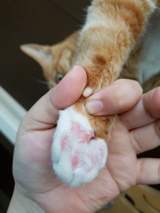 하린님이 올린 리뷰 사진 4
