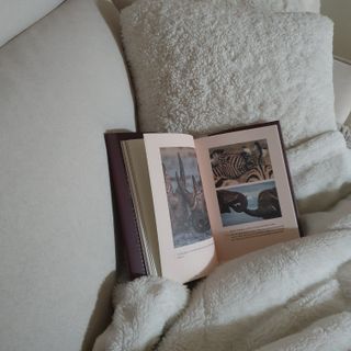 ssun님이 올린 리뷰 사진 2