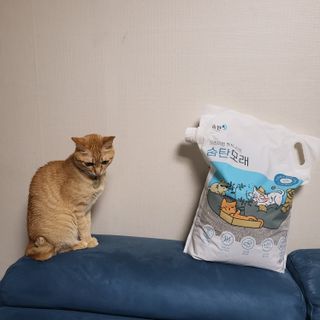 수경이야님이 올린 리뷰 사진 3