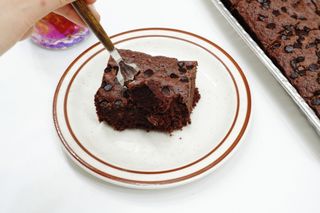 영지버섯님이 올린 리뷰 사진 2