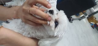 버츠비 케어플러스 릴리빙포앤노즈로션 — 5점을 준 리뷰어가 2021년 4월 올린 사용 사진