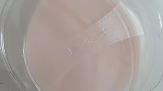 미딘팍님이 올린 리뷰 사진 2