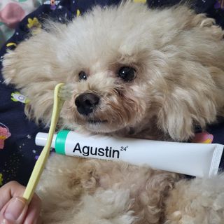 마이츄님이 올린 리뷰 사진 2