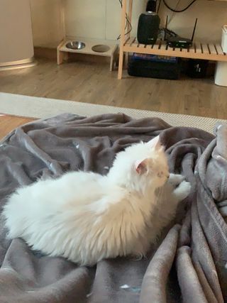 례진님이 올린 리뷰 사진 3