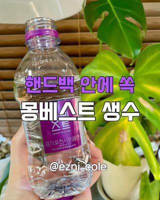몽베스트 [MONTBEST] 330mL 20병 — 5점을 준 리뷰어가 2024년 3월 올린 사용 사진