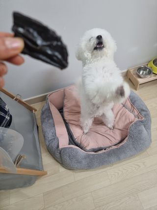 라니으니님이 올린 리뷰 사진 2