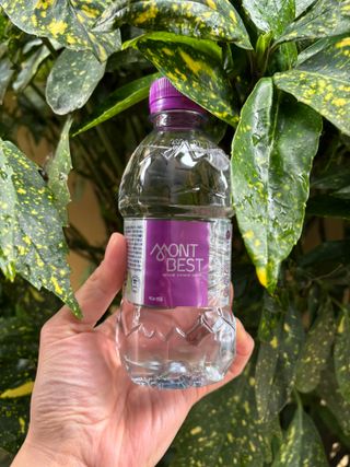 몽베스트 [MONTBEST] 330mL 20병 — 5점을 준 리뷰어가 2024년 2월 올린 사용 사진