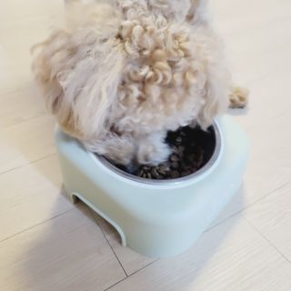 또롱님이 올린 리뷰 사진 4