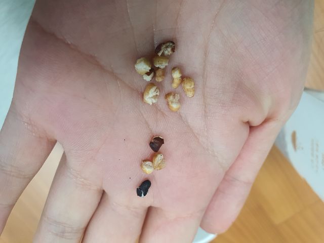 유기농 곡물로 만든 속편한 오색 볶은곡식 2봉 리뷰 사진