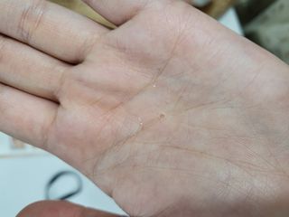 check2님이 올린 리뷰 사진 2
