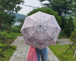 샤키님이 올린 리뷰 사진 2