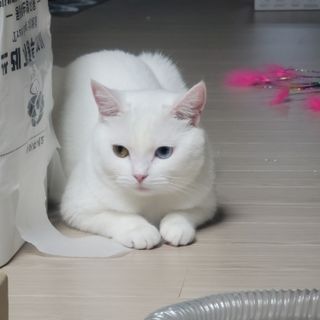 도르방구님이 올린 리뷰 사진 4