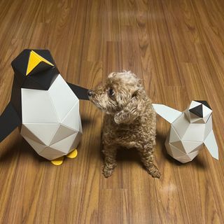 [폴리곤즈] 허들린 패밀리 DIY 블록 세트 (허들린 펭귄 블록+미니허들린 펭귄 블록) — 5점을 준 리뷰어가 2022년 4월 올린 사용 사진