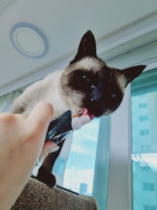 쮸❤님이 올린 리뷰 사진 1